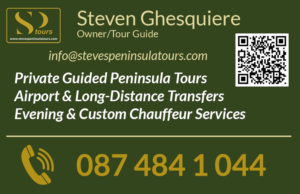 Business Cards Flyers