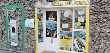 Dingle Sea Safari Book Tickets