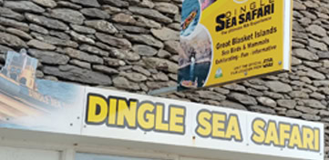 Dingle Sea Safari Office