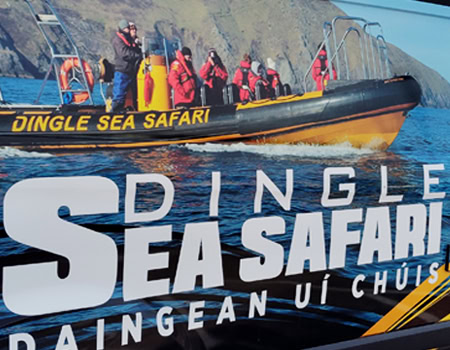 Dingle Sea Safari views of the Blasket Islands