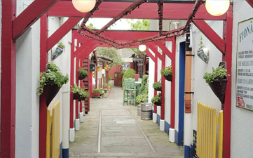 A rewarding meal at Danno’s after exploring the Dingle Peninsula.