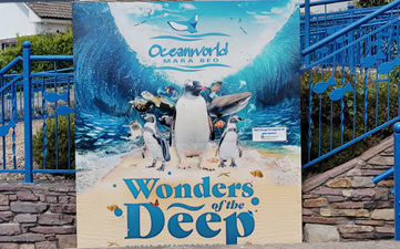 Dingle Oceanworld Aquarium