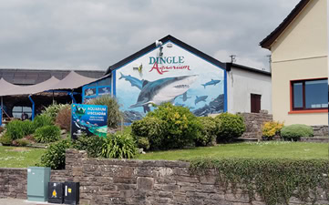 Dingle Oceanworld Aquarium