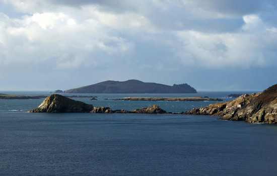 Dingle Slea Head Tours coastline view
