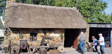 Peat bog at Kerry Bog Village