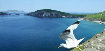 Dingle Slea Head Tours ancient sites