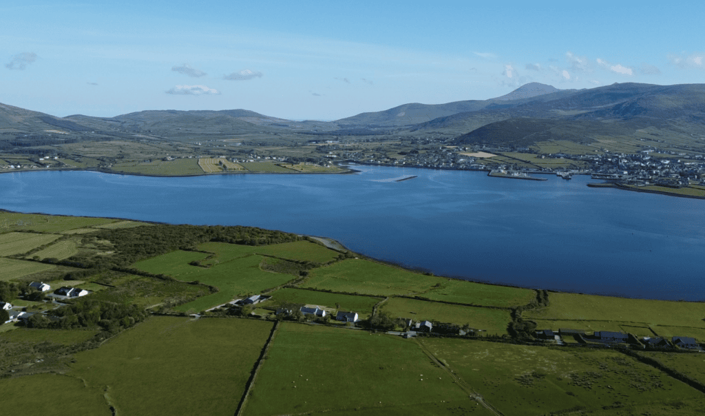 Panoramic view across Dingle Harbour towards Dingle town, with the Slieve Mish Mountains rising beyond in County Kerry.