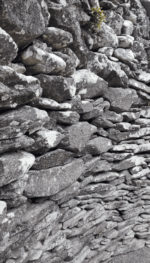 Close view of thick unmortared stonework showing the irregular construction of a surviving cashel wall at Fahan.