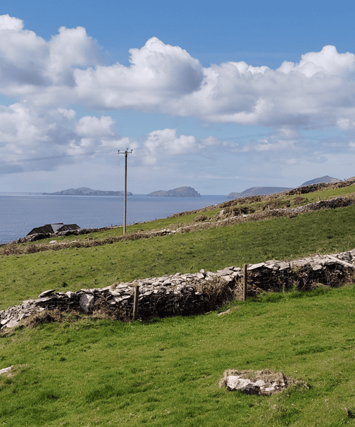 Green coastal fields divided by dry-stone walls overlooking the Atlantic and offshore islands on the Dingle Peninsula.