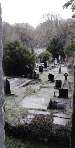Graveyard at Muckross Abbey with historic headstones and Celtic crosses surrounded by mature trees.