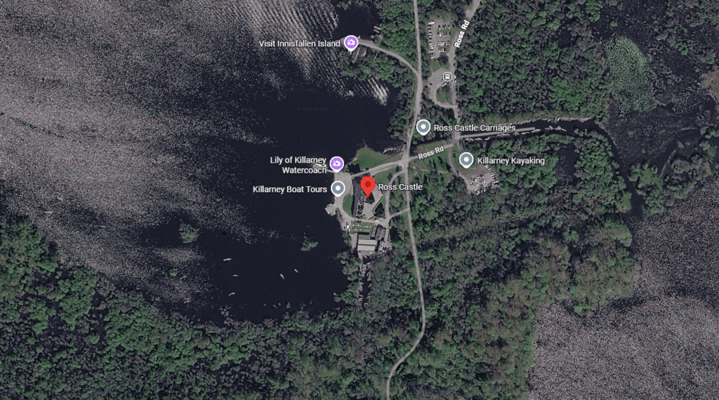 Satellite map showing Ross Castle on the eastern shore of Lough Leane within the wooded landscape of Killarney National Park.