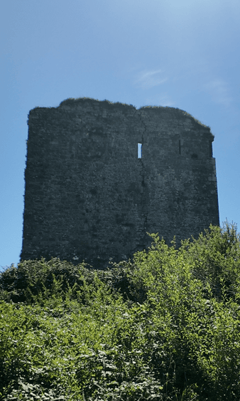 Close view of the surviving stone walls of Minard Castle rising above dense vegetation beneath a clear blue sky.