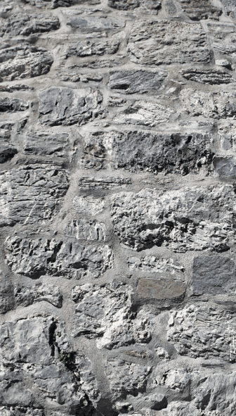Close-up of the rough stone masonry at Ross Castle, showing irregular blocks and mortar within the historic castle walls.