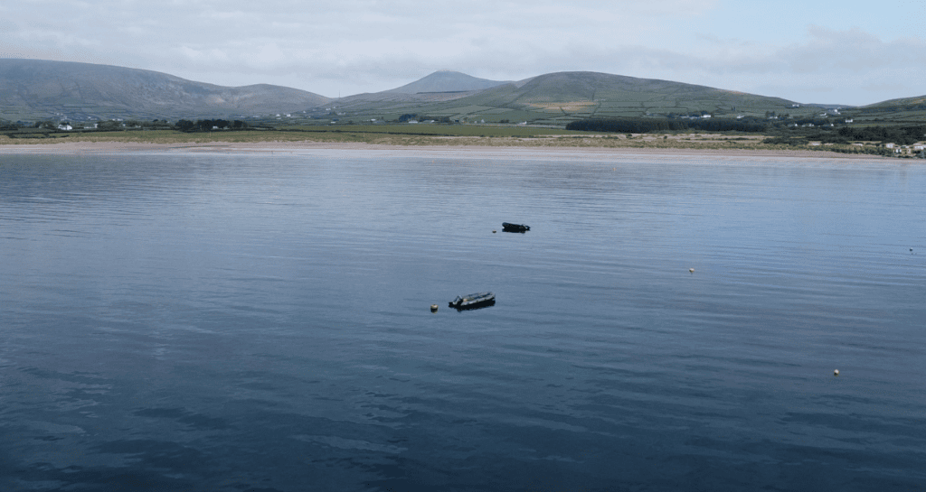 Ventry Beach and Ventry Harbour viewed across calm water towards the green hills of the Dingle Peninsula in County Kerry.